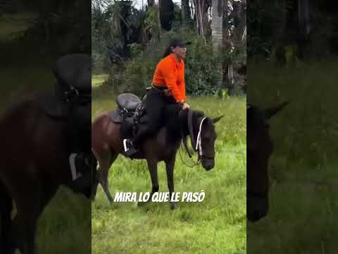Se sentía la nana de los pollitos jaja