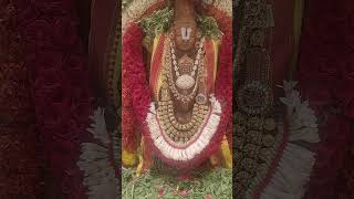 புரட்டாசி பெருமாள் துணை