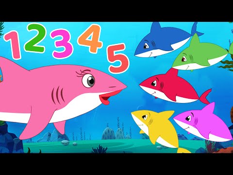 Five Little Baby Shark | Learn Numbers | FunForKidsTV - Nursery Rhymes & Baby Songs