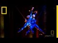 Behind the Scenes of Cirque du Soleil's 'KÀ'