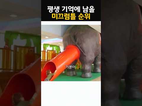 평생 기억에 남을 미끄럼틀 순위!!노래