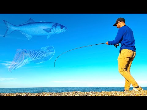 Cerco PESCI SERRA, MA trovo TANTI Predatori INSOLITI! Pesca dalla Spiaggia a Spinning e Eging