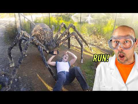 Scary Animals that ACTUALLY exist