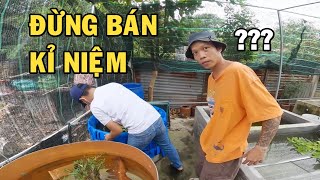 Ông chủ trại cá Betta thanh lý đồ củ pó tay khi gặp phải thanh niên này