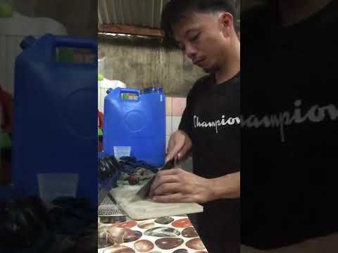 TALABA