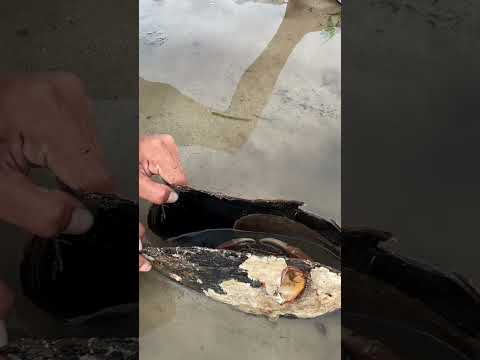 #fishing