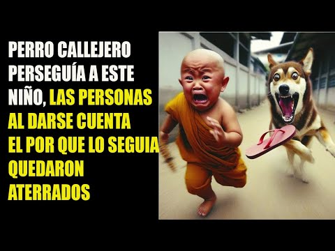 PERRO CALLEJERO PERSEGUÍA A ESTE NIÑO, LAS PERSONAS AL DARSE CUENTA POR QUE LO SEGUÍA SE ATERRARON