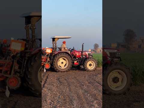 #mahindra novo 755 di crdi 4wd♥️🚀🌽#farming #tractor #youtubeshorts #viralshorts #shorts #shortsviral