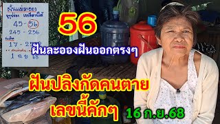 56 ฝันปลิงกัดคนตาย เลขนี้คักๆ แม่ละอองฝันออกตรงๆ 16-9-68