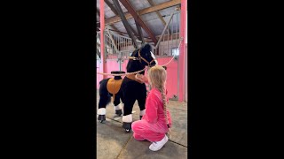 WE ARE LIVE❤️ Get ready, saddle up and ride with us🐴 #shortslive #live #horse
