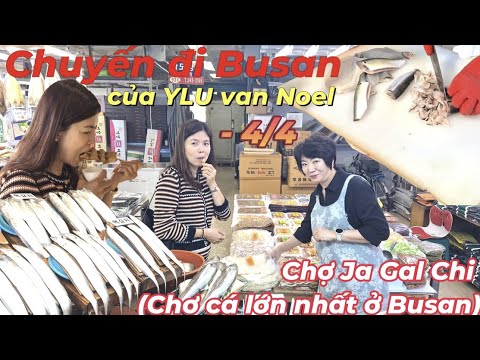 |514 - 4/4| Chuyến đi Busancủa YLU và Noel (feat. Cho cá lớn nhất ở Busan)