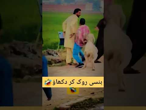 Funny video #funny #comedy #prank k
