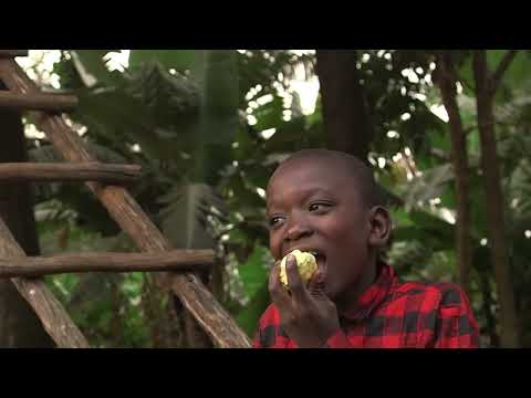 In Uganda: procuring responsibly | Forest Stewardship Council