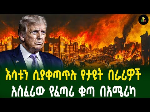 እሳቱን ሲያቀጣጥሉ የታዩት በራሪዎች | አስፈሪው የፈጣሪ ቁጣ በአሜሪካ