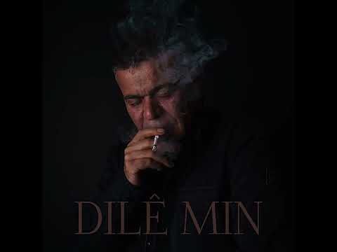 HOZAN DINO - DILE MIN