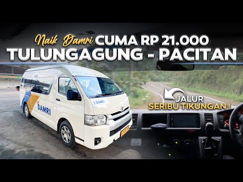 CUMA Rp 21.000 SAJA ‼️ Tulungagung - Pacitan Naik Damri KSPN Jalur Seribu Tikungan.