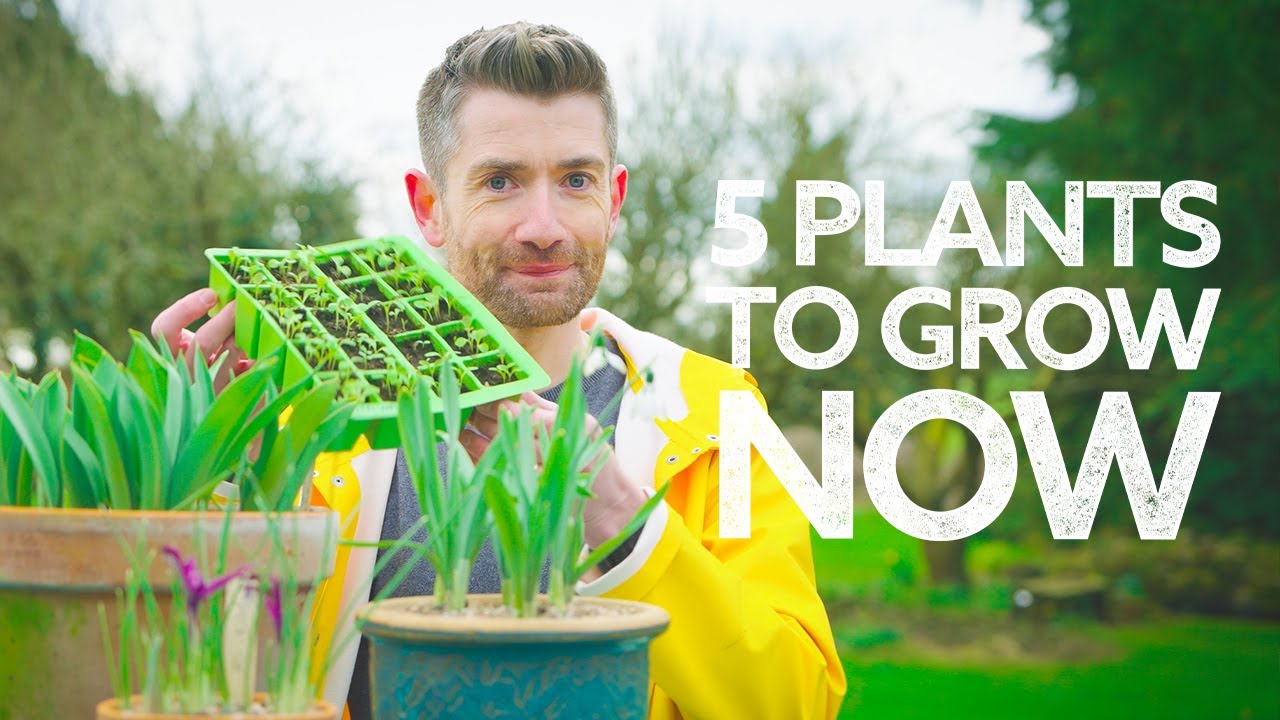 What to Plant in March | What to Sow and Grow in Spring