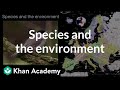 Blackcaps Migration and Speciation