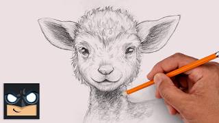 How to Draw a Lamb | Sketch Saturday