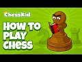 Chess Movement and Rules