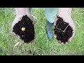 CO2 Revolution's Reforestation Strategies