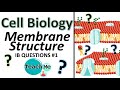Functions and Roles of Cell Membrane Components