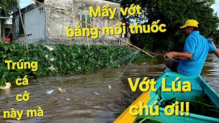 Hết biết trúng rồi. Nhiều cá quá bị nói là vớt bằng MỒI THUỐC | Săn bắt SÓC TRĂNG |