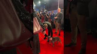 Tom Hardy Owns the Red Carpet at Venom Premiere 🕷️🔥
