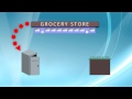 Understanding Computer Memory