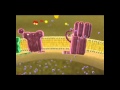 Exploring the Process of Photosynthesis