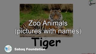 Zoo Animals (pictures with names)