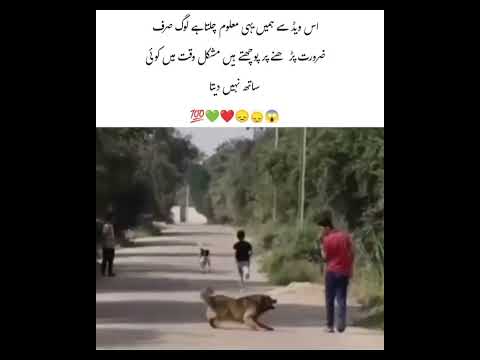 Mushkil waqt Mein koi Sath Nahin deta 💯❤️😔#urduquotes #goldenworlds#viralshorts