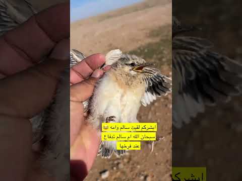 لقيت سالم و أمه