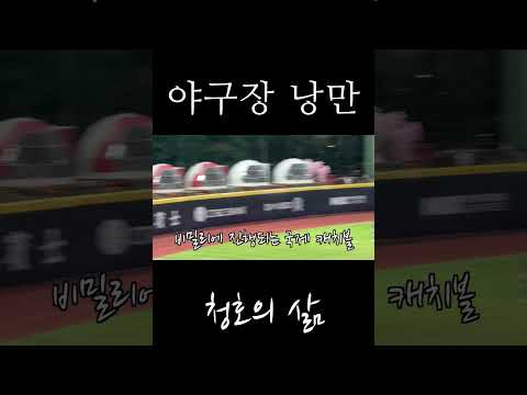야구팬의 로망 #프리미어12 #야구 #낭만