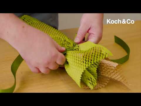 Kraft Paper Honeycomb Expandable Sheets Moss Pk50 (50x50cm)