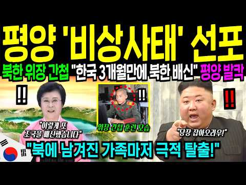 [해외감동사연] "북한 지금 싹 다 털렸다!" 위장 간첩이 한국에 와서 조국을 배신한 이유 평양이 발칵 뒤집혔다