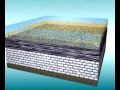 Formation of Sedimentary Rock Layers in GCSE Science