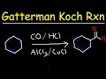 Gatamine Koch Reaction Concepts