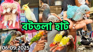 হাটে গরমও বেশি, পাখিও বেশি | বটতলা হাট | শনিবার | খাজনা মুক্ত হাট | Bottola Kobutor Haat, Dhaka #825