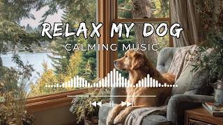 10 HOURS of Dog Relaxing Music 💖🦮 Bedtime Relaxing Music to Calm Dogs Gently