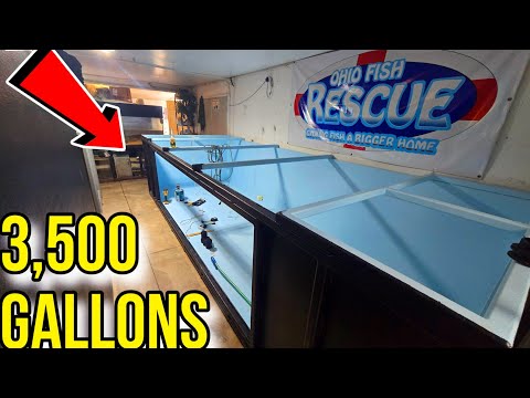The 3,500 is in it's Final Position!!! Work Continues as Josh Makes a Special Announcement