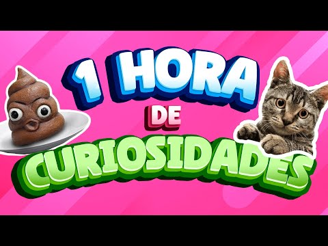 1 HORA DE CURIOSIDADES DE COSAS QUE NO SABÍAS HACE 5 MINUTOS ⏰🧠