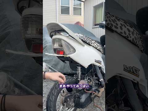 ディオゴスティーニ カスタム 車高短にしてみた