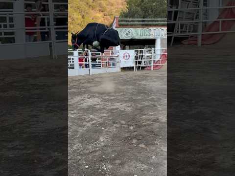 Entrenamiento De Amenaza En El Aire Los Destructores
