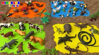 Animales para niños 🦎🐞 Juguetes de Reptiles Aves Mamíferos Insectos ✨ Mimonona Stories