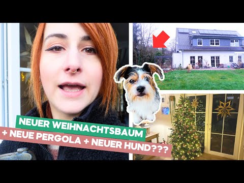 Unser Weihnachtsbaum / Winter-Garten-Projekt / Neuer Hund?! / Weekly Vlog #127