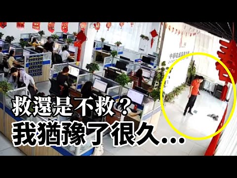 公司裡跑來一隻受傷的貓，牠用眼神在向我求救