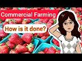 Commercial Farming Practices and Characteristics