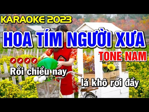 ✔ HOA TÍM NGƯỜI XƯA Karaoke Nhạc Sống Tone Nam ( BEAT 2023 ) ► Bến Tình Karaoke