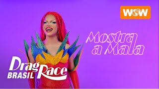 Mostra a Mala: Meet the Host